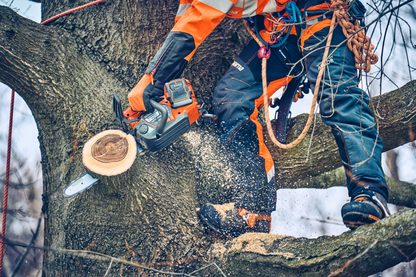 Husqvarna T542i XP®